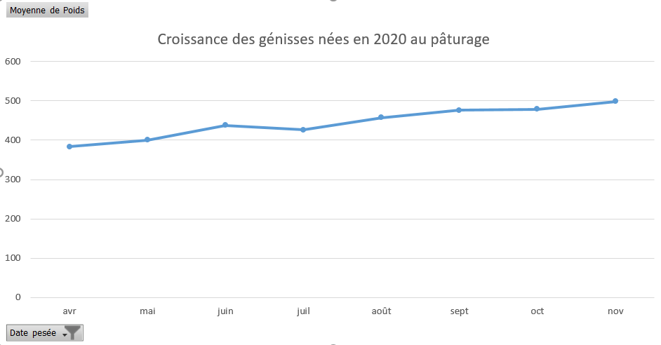 Croissance génisses 2021
